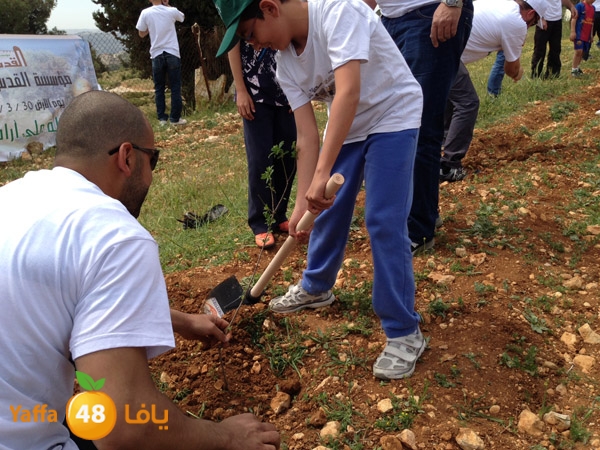 ludandyaffazaitoon (10).JPG